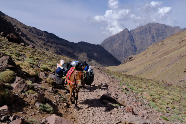 Atlas Mountains Day Trip & Berber Villages Experience from Marrakech