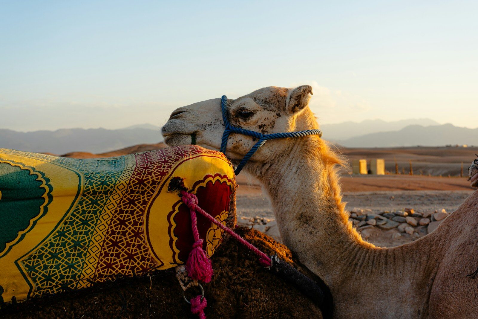 Moroccan desert landscape