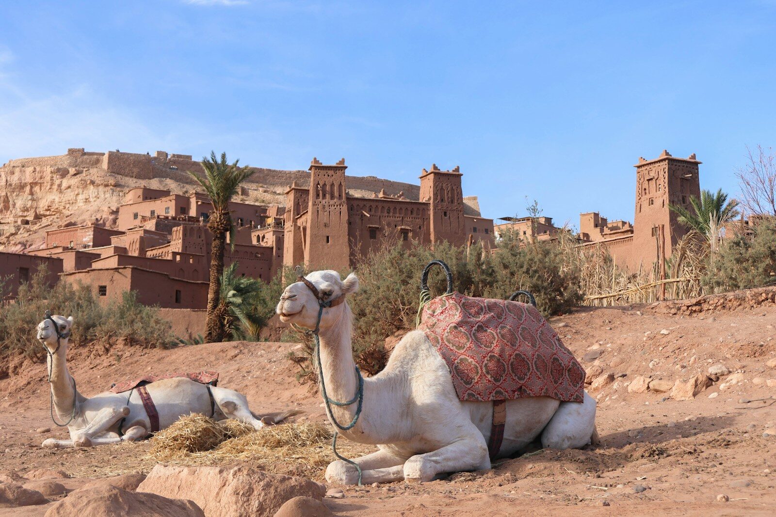 Spectacular scenery of Berber architectures