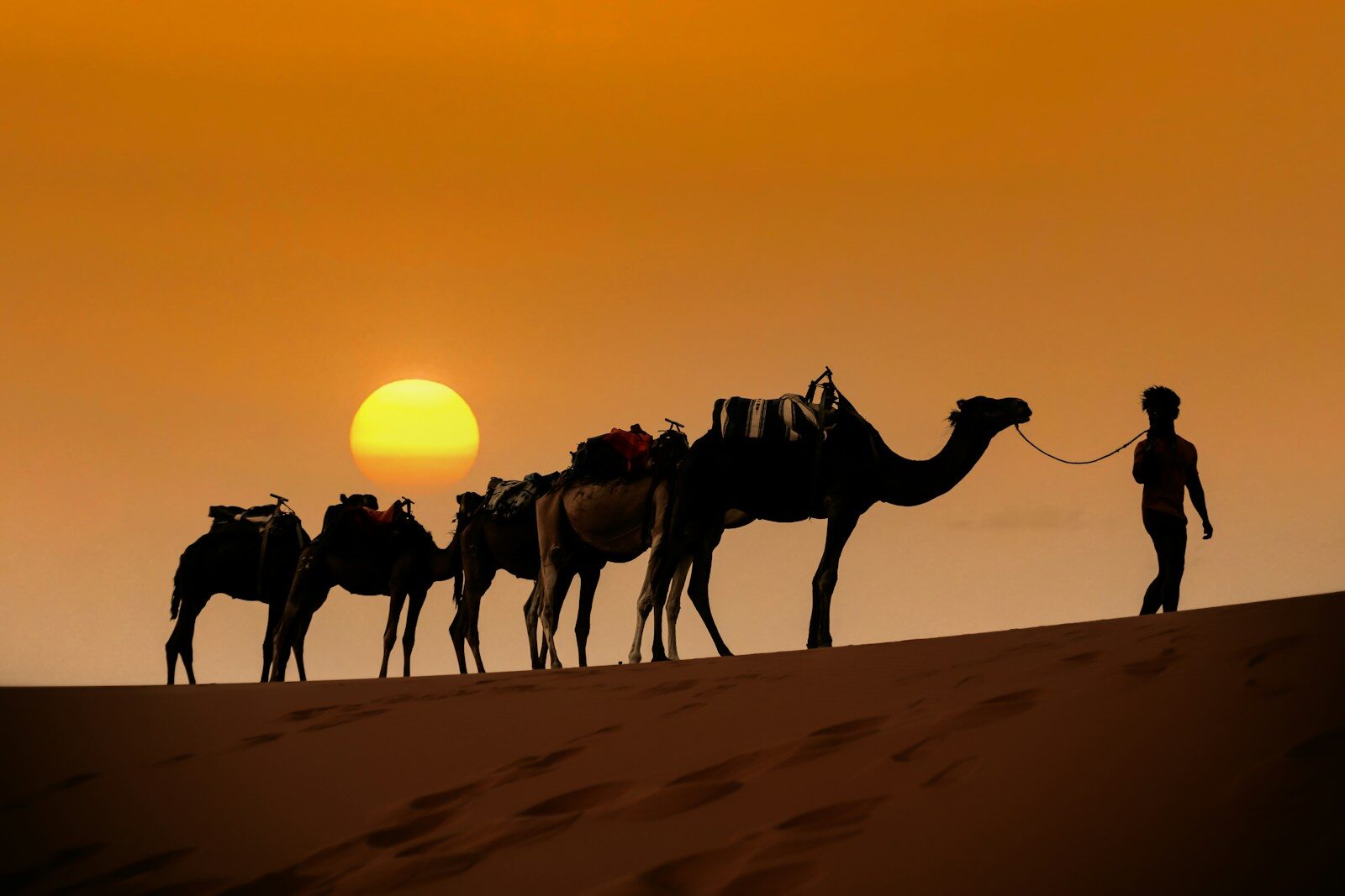 Morocco desert adventure